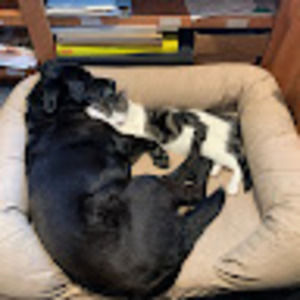 Meet your Posher, Abbie